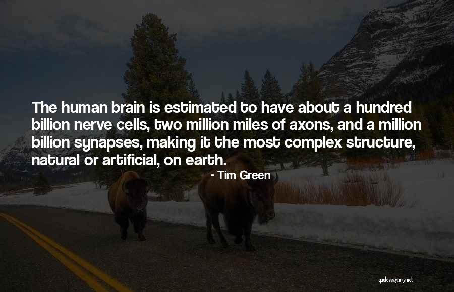 Tim Green Quotes 2202367