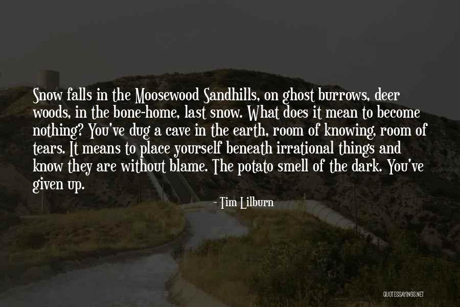 Tim Lilburn Quotes 1891334