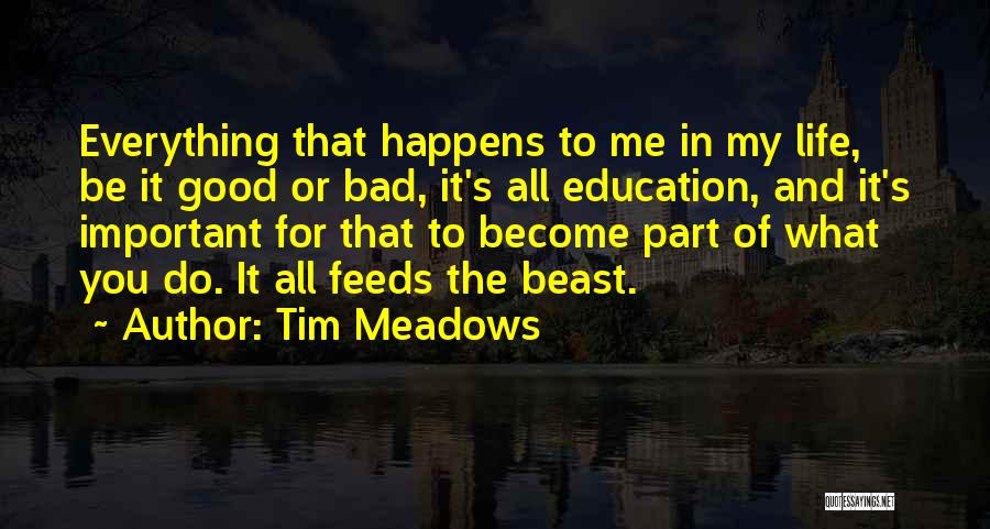 Tim Meadows Quotes 1027993