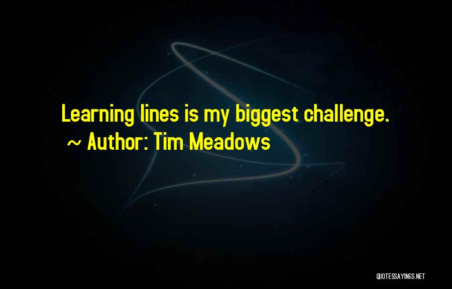 Tim Meadows Quotes 1311497