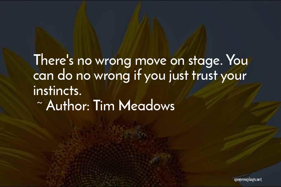 Tim Meadows Quotes 1565328