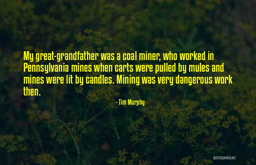 Tim Murphy Quotes 1667050 Tim Murphy Quotes 1667050