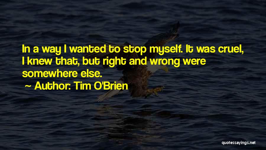 Tim O'Brien Quotes 1001231