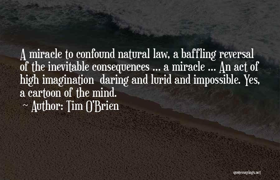 Tim O'Brien Quotes 1519848