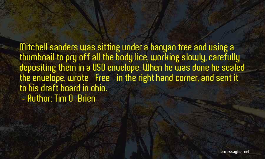 Tim O'Brien Quotes 1738473