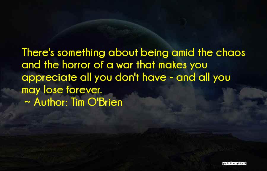 Tim O'Brien Quotes 2145105