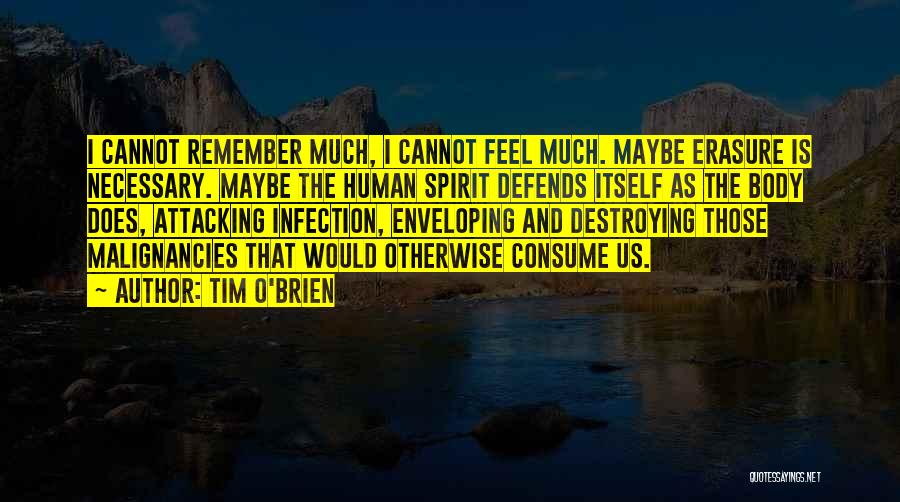 Tim O'Brien Quotes 94687