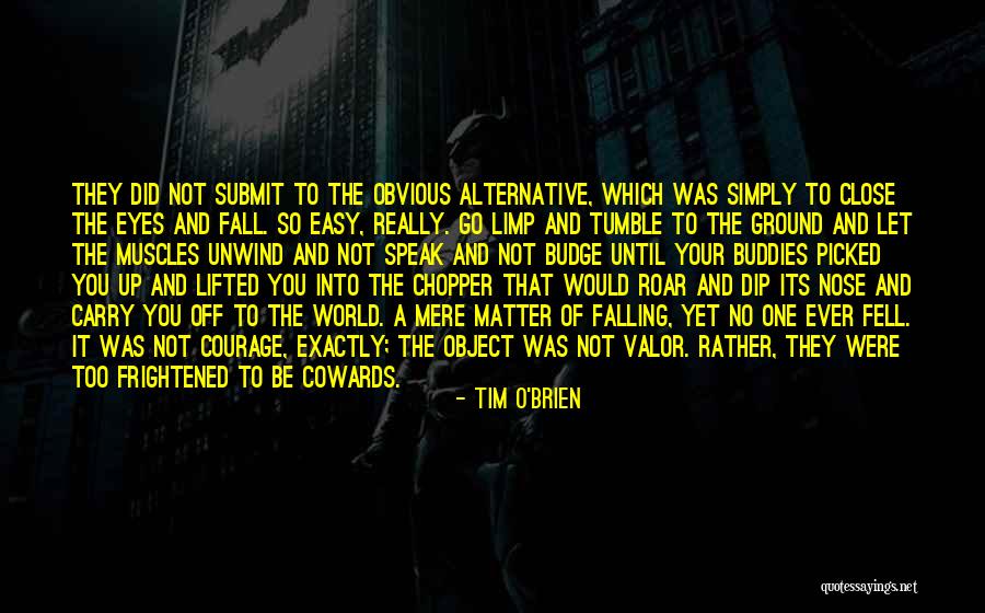 Tim O'leary Quotes By Tim O'Brien