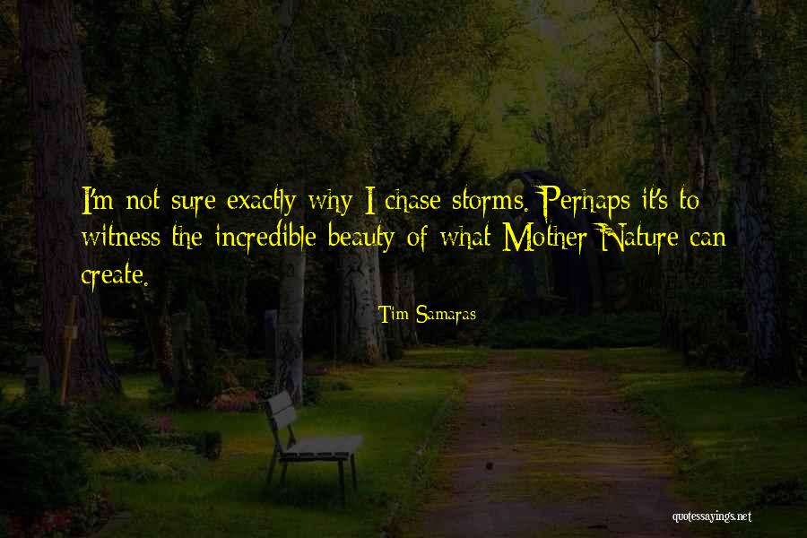 Tim Samaras Quotes 950311