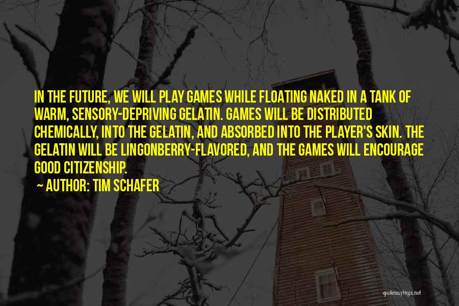 Tim Schafer Quotes 2053528