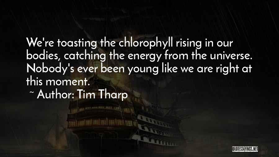 Tim Tharp Quotes 298124