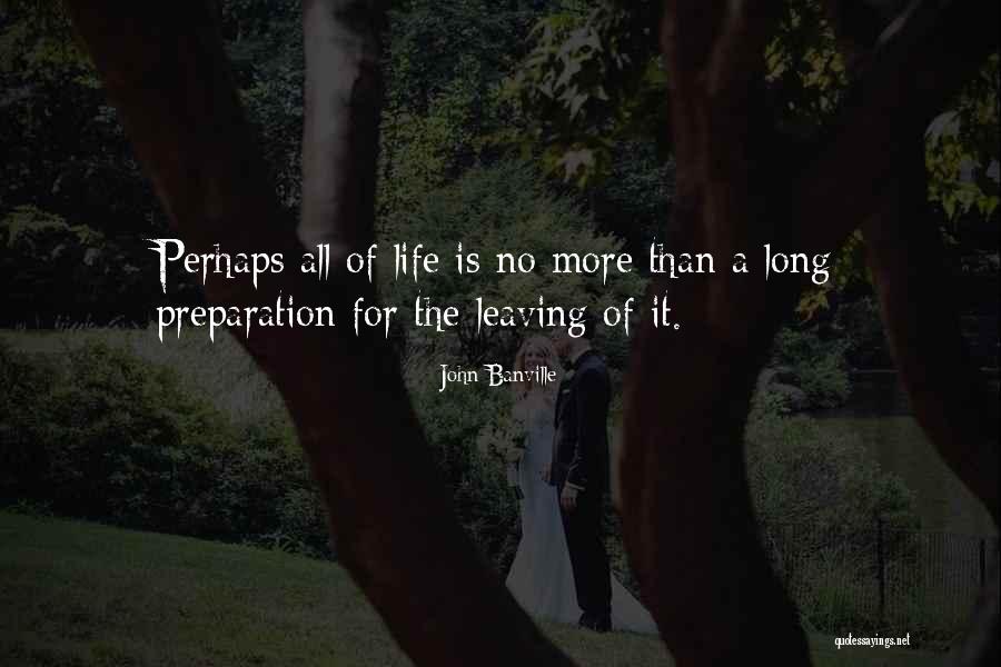 Timashev Greenwich Quotes By John Banville Timashev Greenwich Quotes By John Banville
