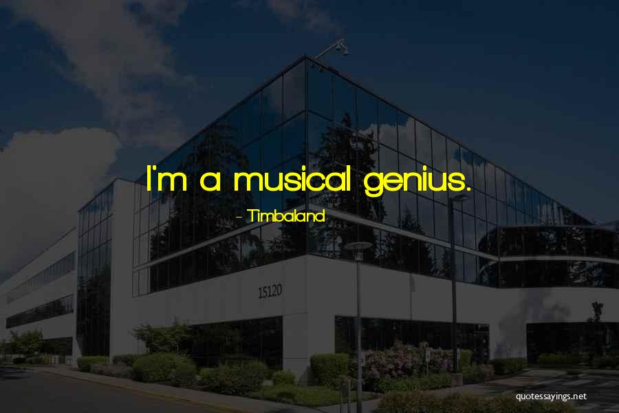 Timbaland Quotes 1106175