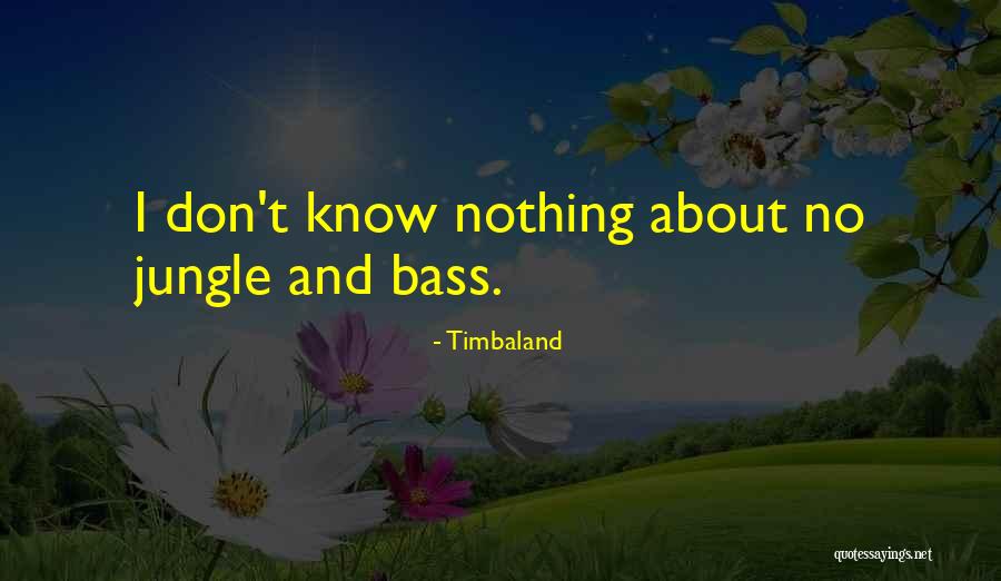 Timbaland Quotes 140981