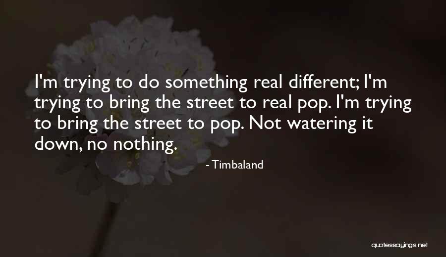 Timbaland Quotes 1830944