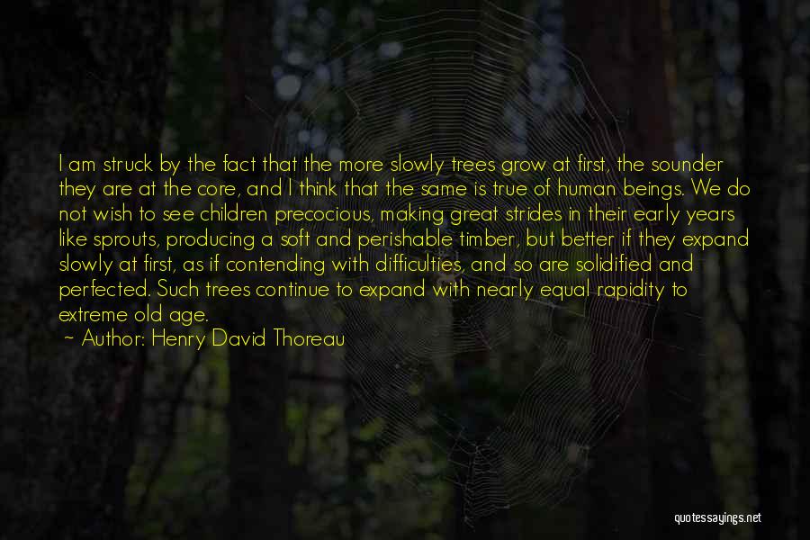 Timber Quotes By Henry David Thoreau