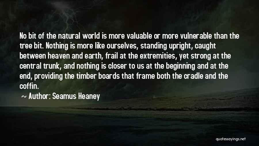 Timber Quotes By Seamus Heaney