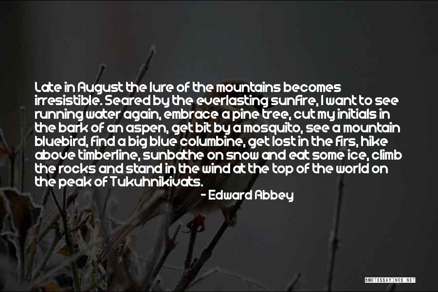Timberline Quotes By Edward Abbey Timberline Quotes By Edward Abbey