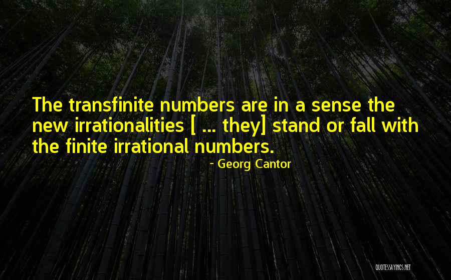 Timberline Quotes By Georg Cantor