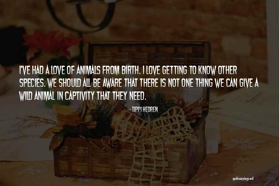 Timbiriche Members Quotes By Tippi Hedren Timbiriche Members Quotes By Tippi Hedren