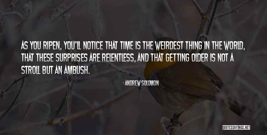 Time And Aging Quotes By Andrew Solomon Time And Aging Quotes By Andrew Solomon
