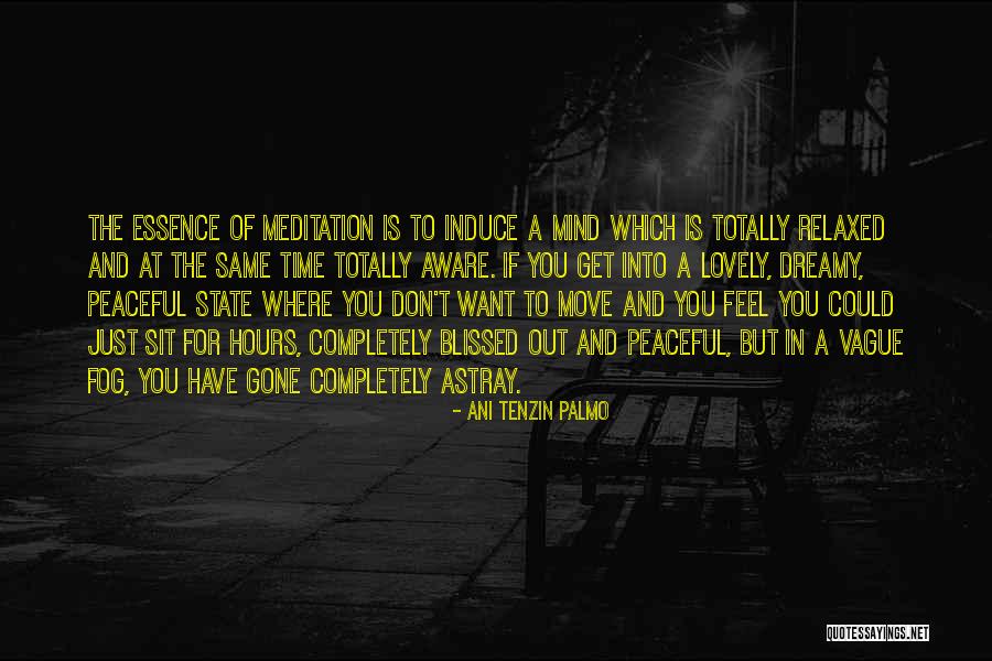 Time And Essence Quotes By Ani Tenzin Palmo Time And Essence Quotes By Ani Tenzin Palmo