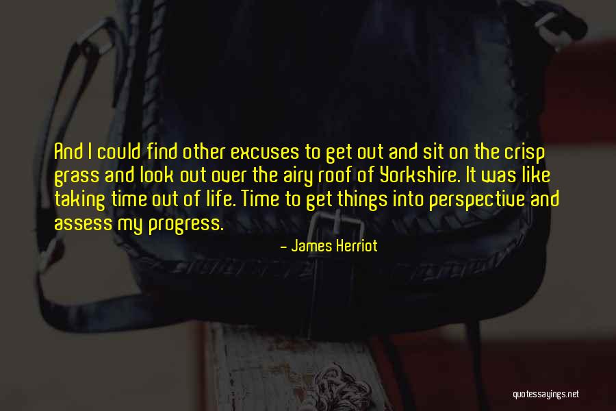 Time And Excuses Quotes By James Herriot Time And Excuses Quotes By James Herriot