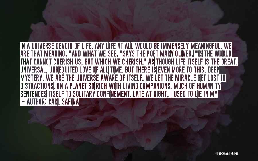 Time And Lost Love Quotes By Carl Safina Time And Lost Love Quotes By Carl Safina