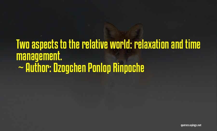 Time And Management Quotes By Dzogchen Ponlop Rinpoche