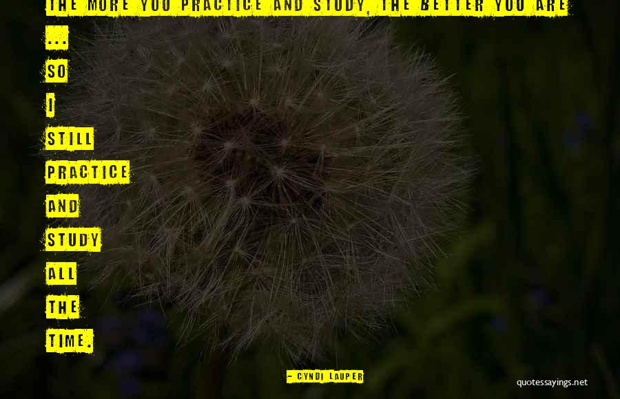 Time And Study Quotes By Cyndi Lauper Time And Study Quotes By Cyndi Lauper