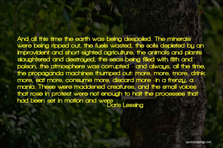 Time Being Short Quotes By Doris Lessing