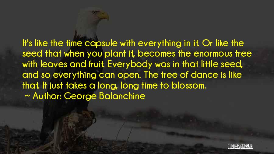 Time Capsule Quotes By George Balanchine