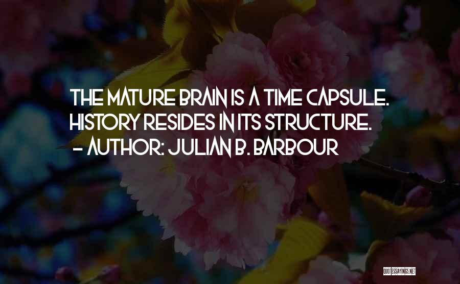 Time Capsule Quotes By Julian B. Barbour