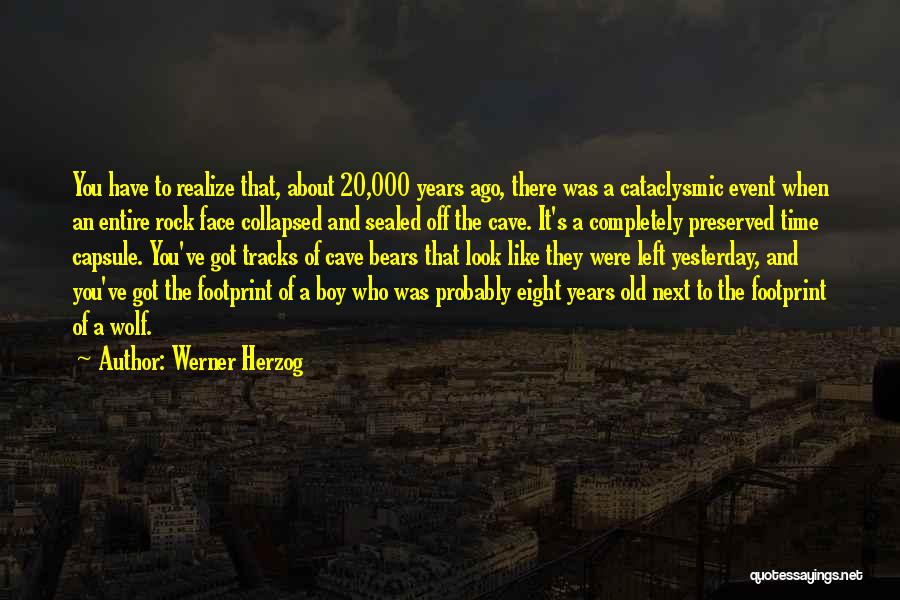 Time Capsule Quotes By Werner Herzog