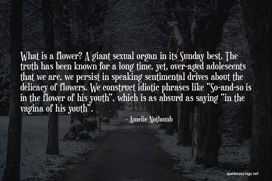 Time Construct Quotes By Amelie Nothomb Time Construct Quotes By Amelie Nothomb