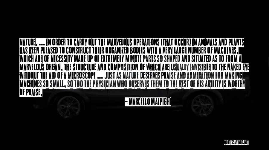 Time Construct Quotes By Marcello Malpighi Time Construct Quotes By Marcello Malpighi