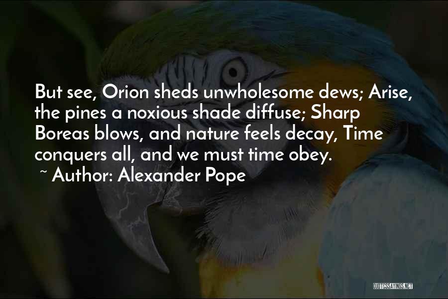 Time Decay Quotes By Alexander Pope