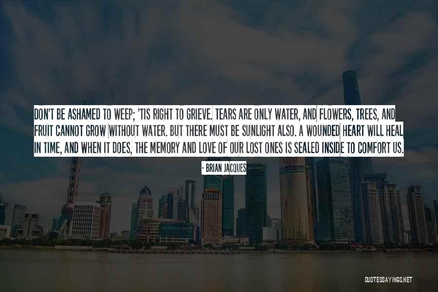 Time Does Not Heal Quotes By Brian Jacques Time Does Not Heal Quotes By Brian Jacques