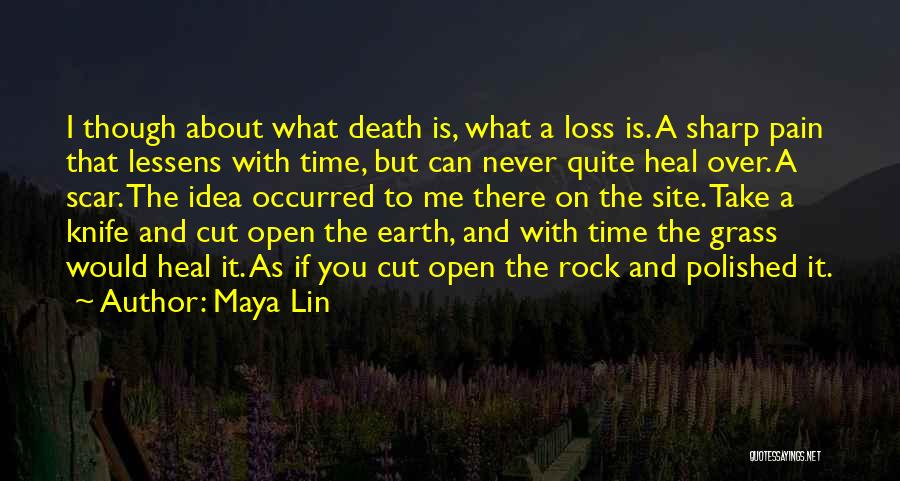 Time Does Not Heal Quotes By Maya Lin
