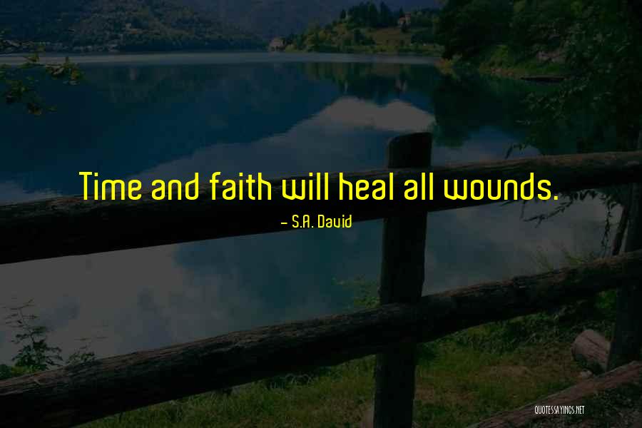 Time Does Not Heal Quotes By S.A. David Time Does Not Heal Quotes By S.A. David