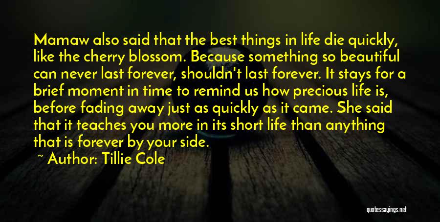 Time Fading Away Quotes By Tillie Cole
