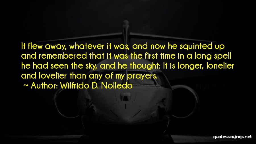 Time Flew Away Quotes By Wilfrido D. Nolledo