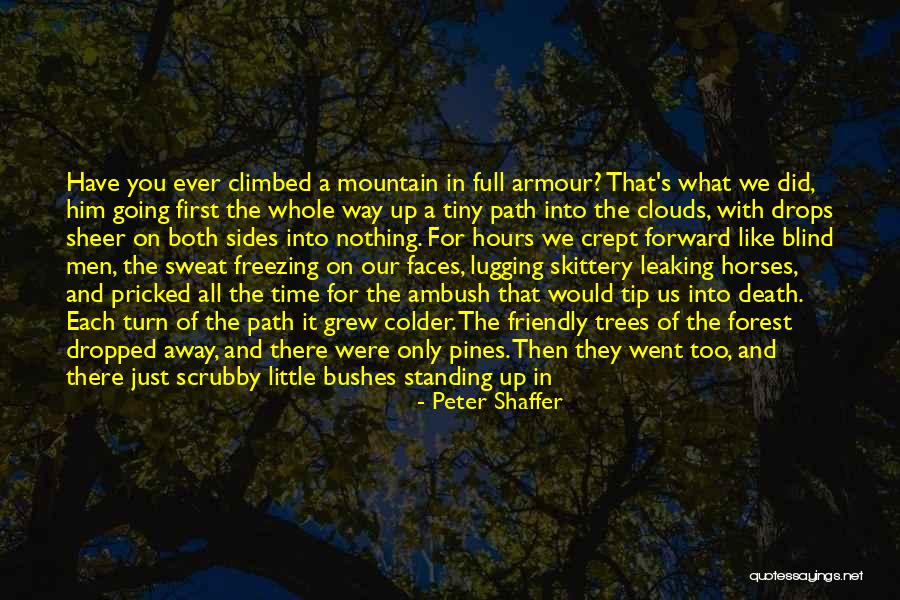 Time Flies Death Quotes By Peter Shaffer Time Flies Death Quotes By Peter Shaffer