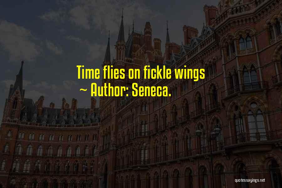 Time Flies Quotes By Seneca.