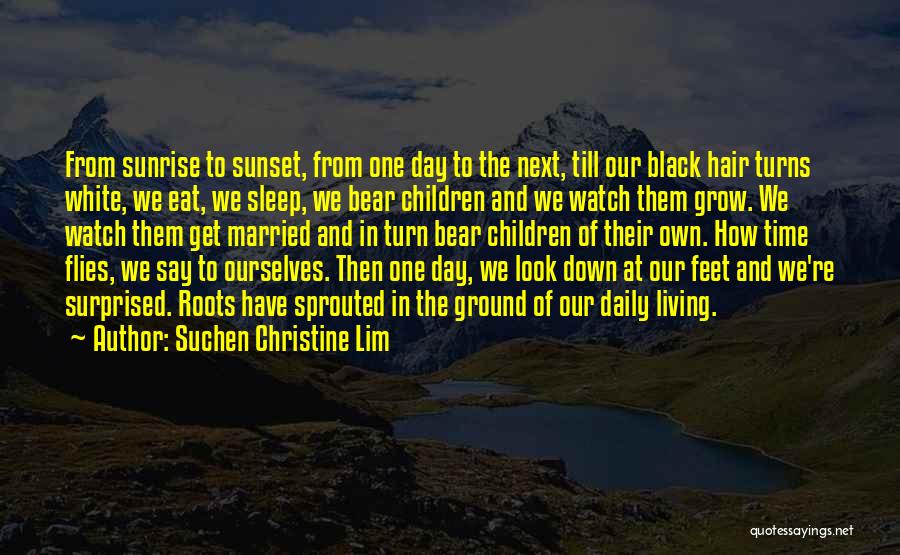 Time Flies Quotes By Suchen Christine Lim