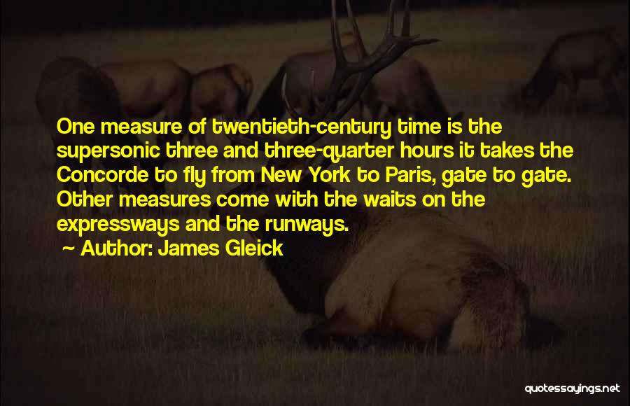 Time Fly Quotes By James Gleick