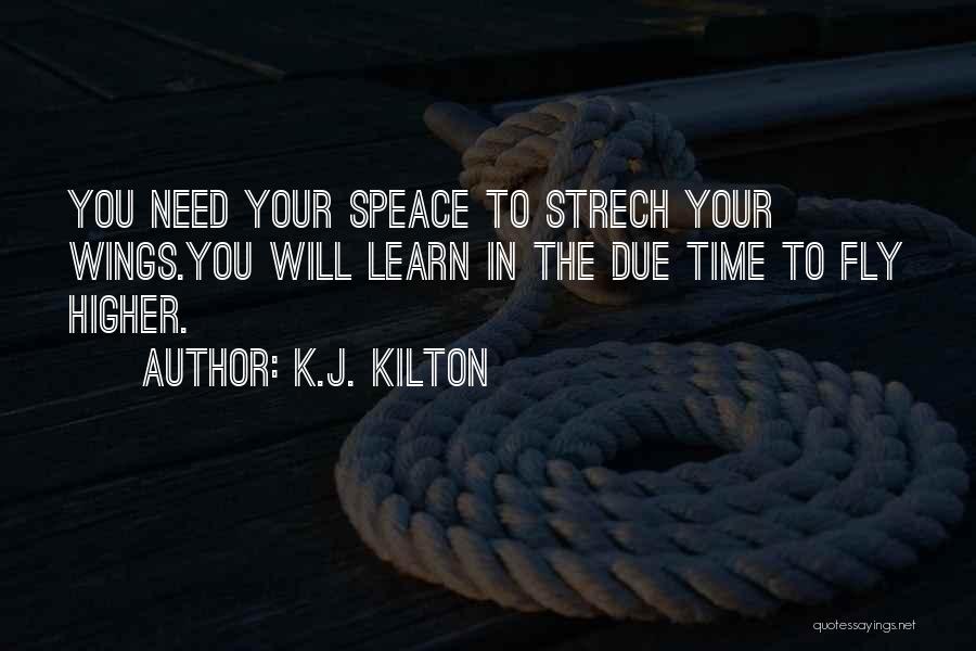 Time Fly Quotes By K.J. Kilton