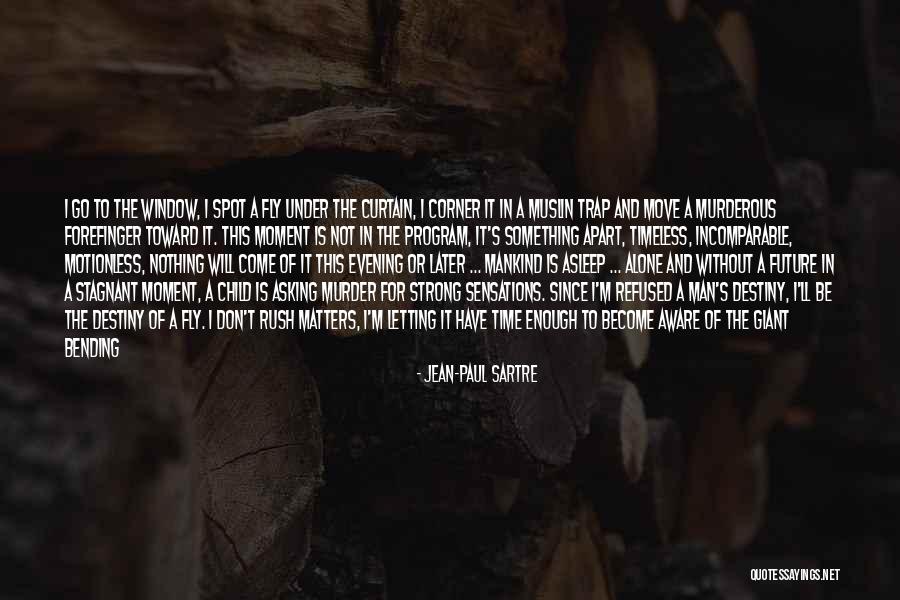 Time For Me To Fly Quotes By Jean-Paul Sartre Time For Me To Fly Quotes By Jean-Paul Sartre