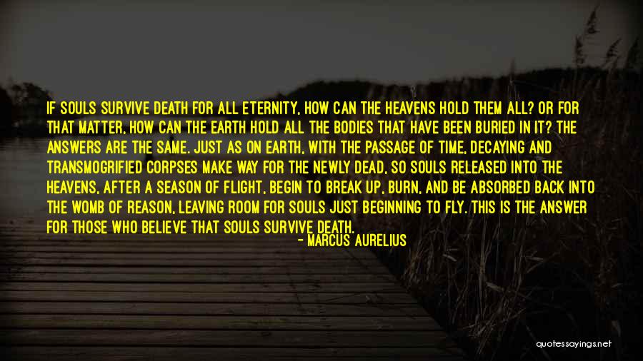 Time For Me To Fly Quotes By Marcus Aurelius Time For Me To Fly Quotes By Marcus Aurelius