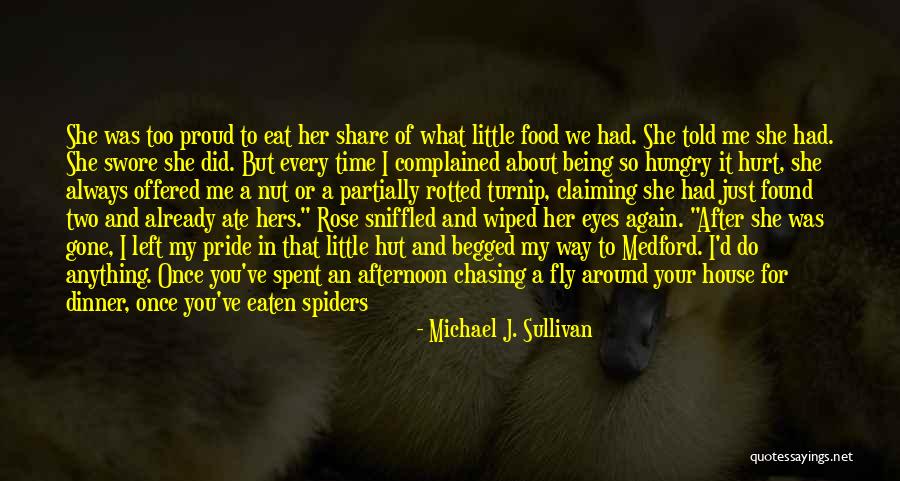 Time For Me To Fly Quotes By Michael J. Sullivan Time For Me To Fly Quotes By Michael J. Sullivan